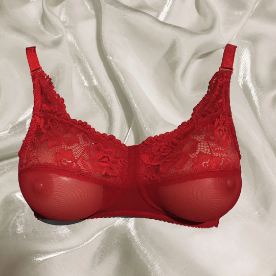 Silicone Breastforms Crodresser Bra