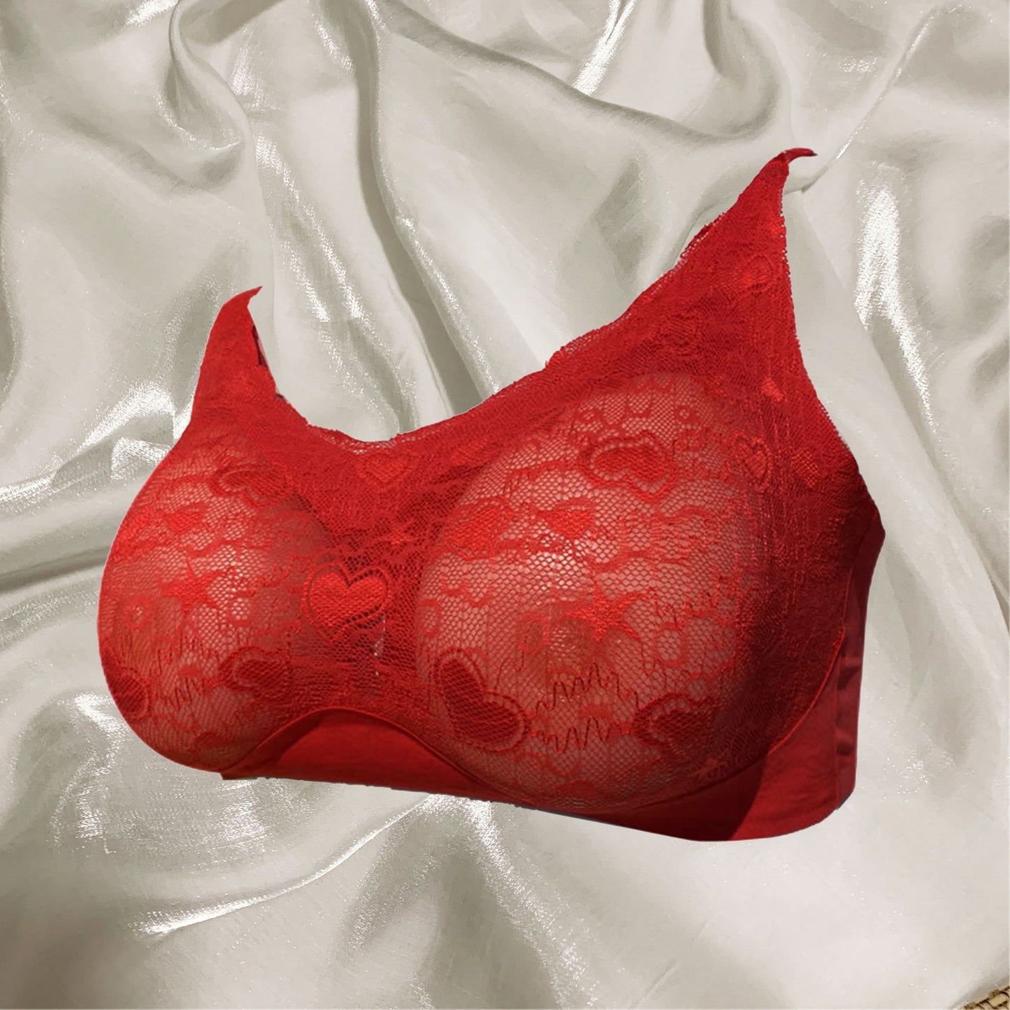 Silicone Included Breastforms Crodresser Bra