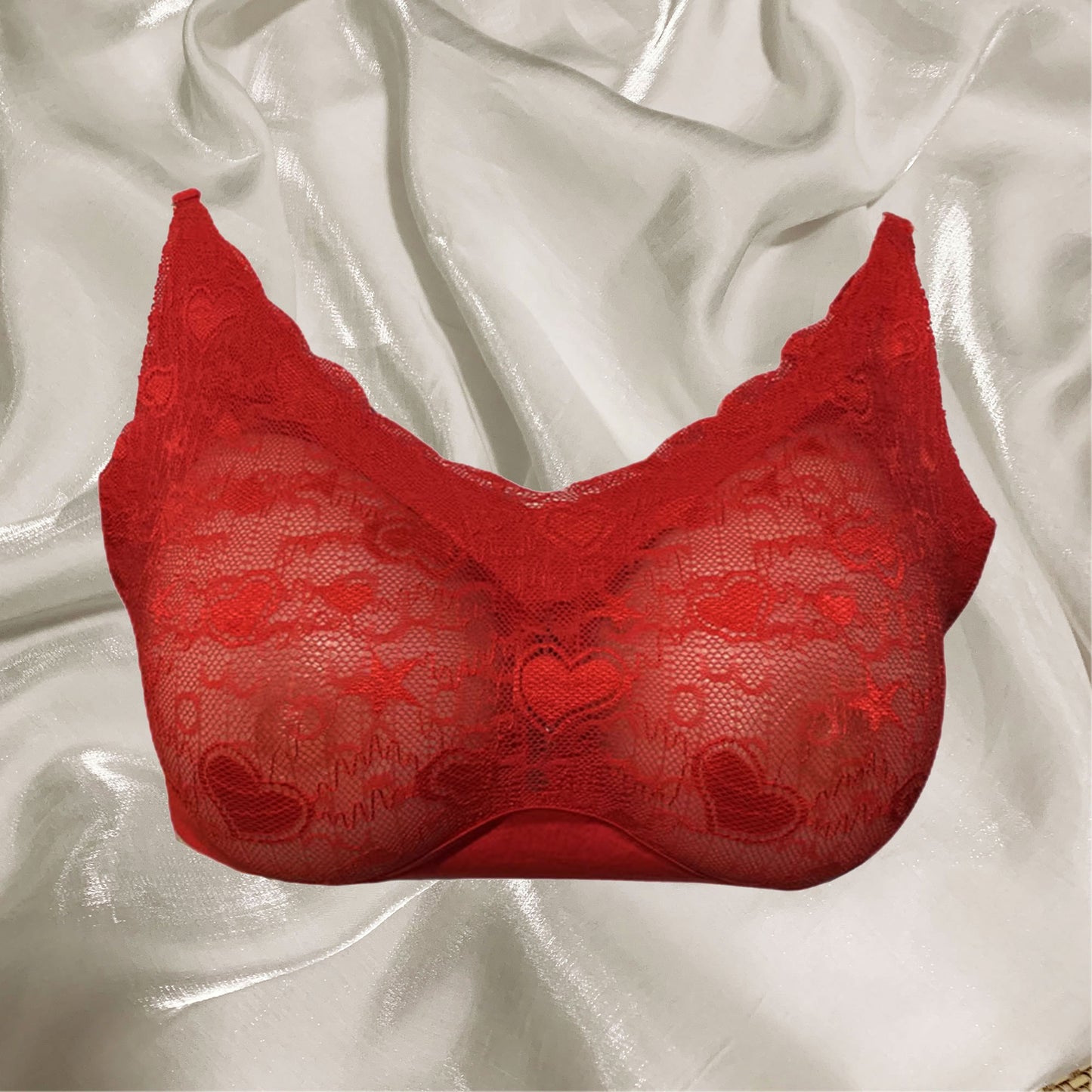 Silicone Included Breastforms Crodresser Bra